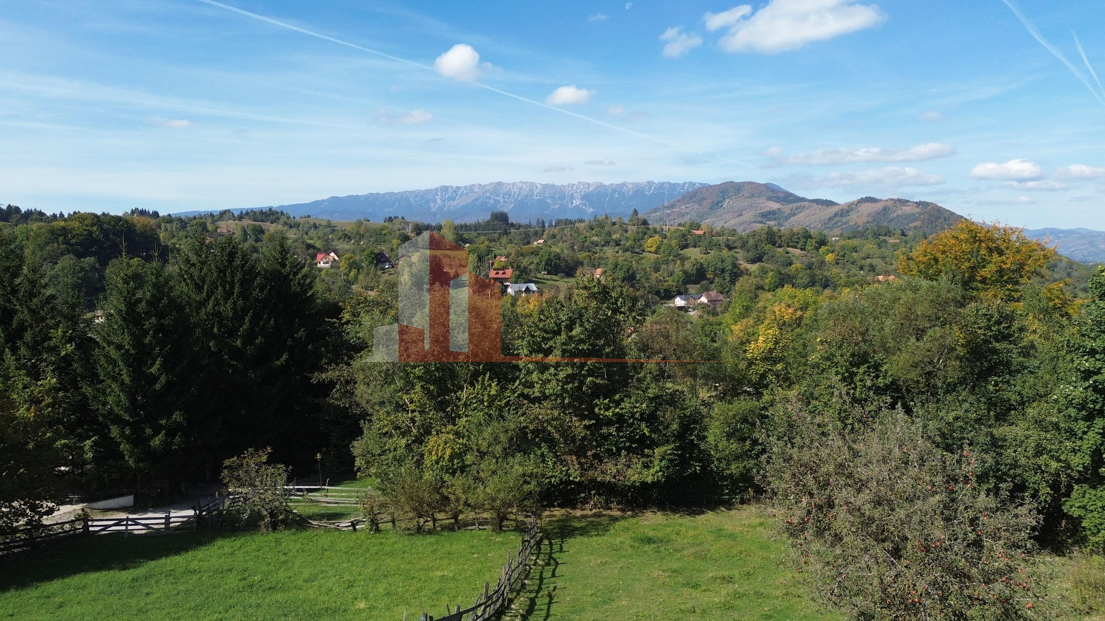 Teren intravilan 1300 mp | Vedere Piatra Craiului | Bran Poarta - 10