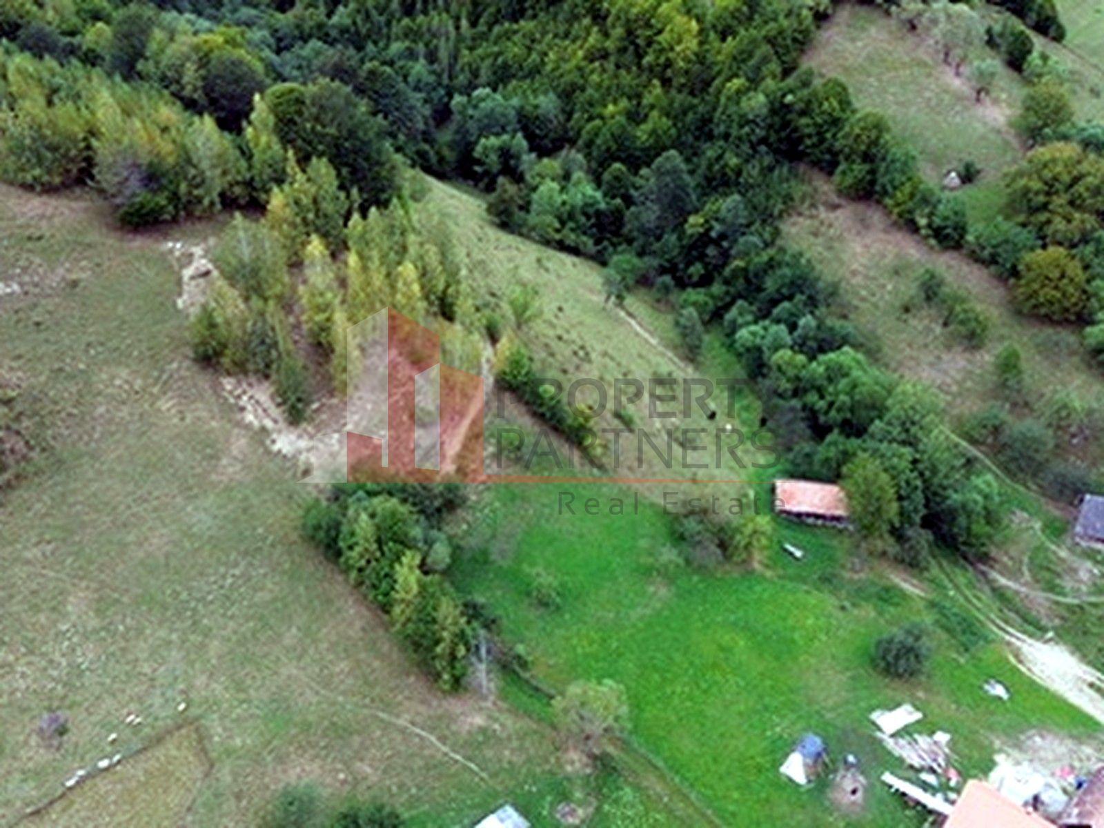 Teren de investiție în Moieciu, lângă Castelul Bran – 11.381 mp, vedere Bucegi - 18