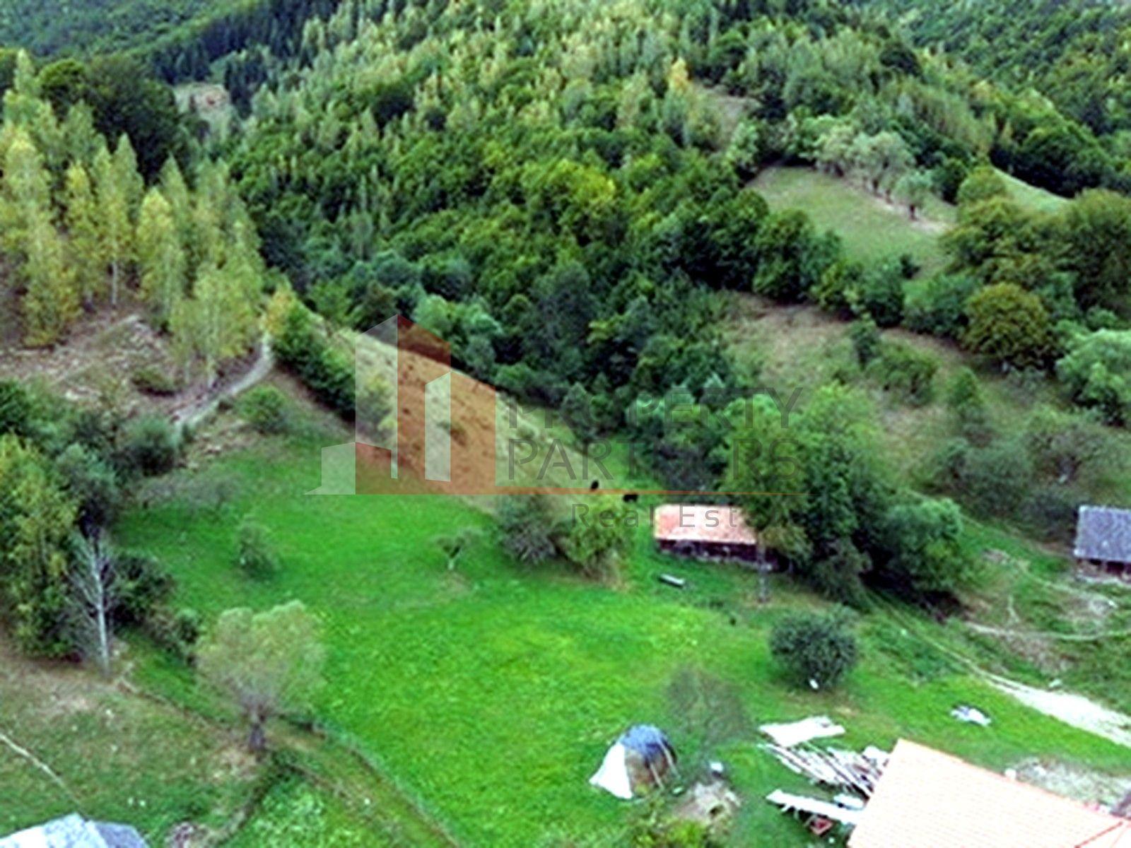 Teren de investiție în Moieciu, lângă Castelul Bran – 11.381 mp, vedere Bucegi - 15