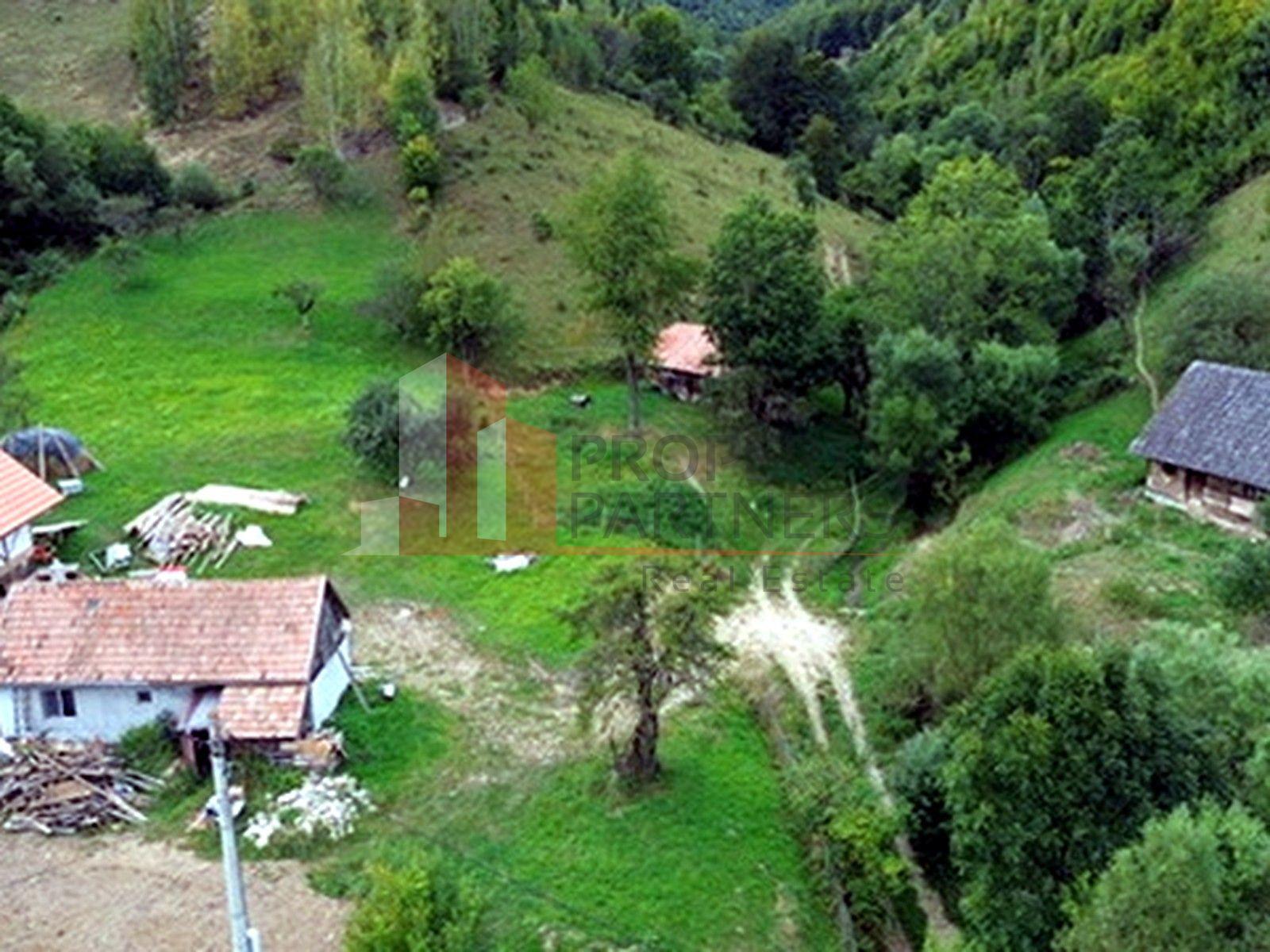 Teren de investiție în Moieciu, lângă Castelul Bran – 11.381 mp, vedere Bucegi - 17