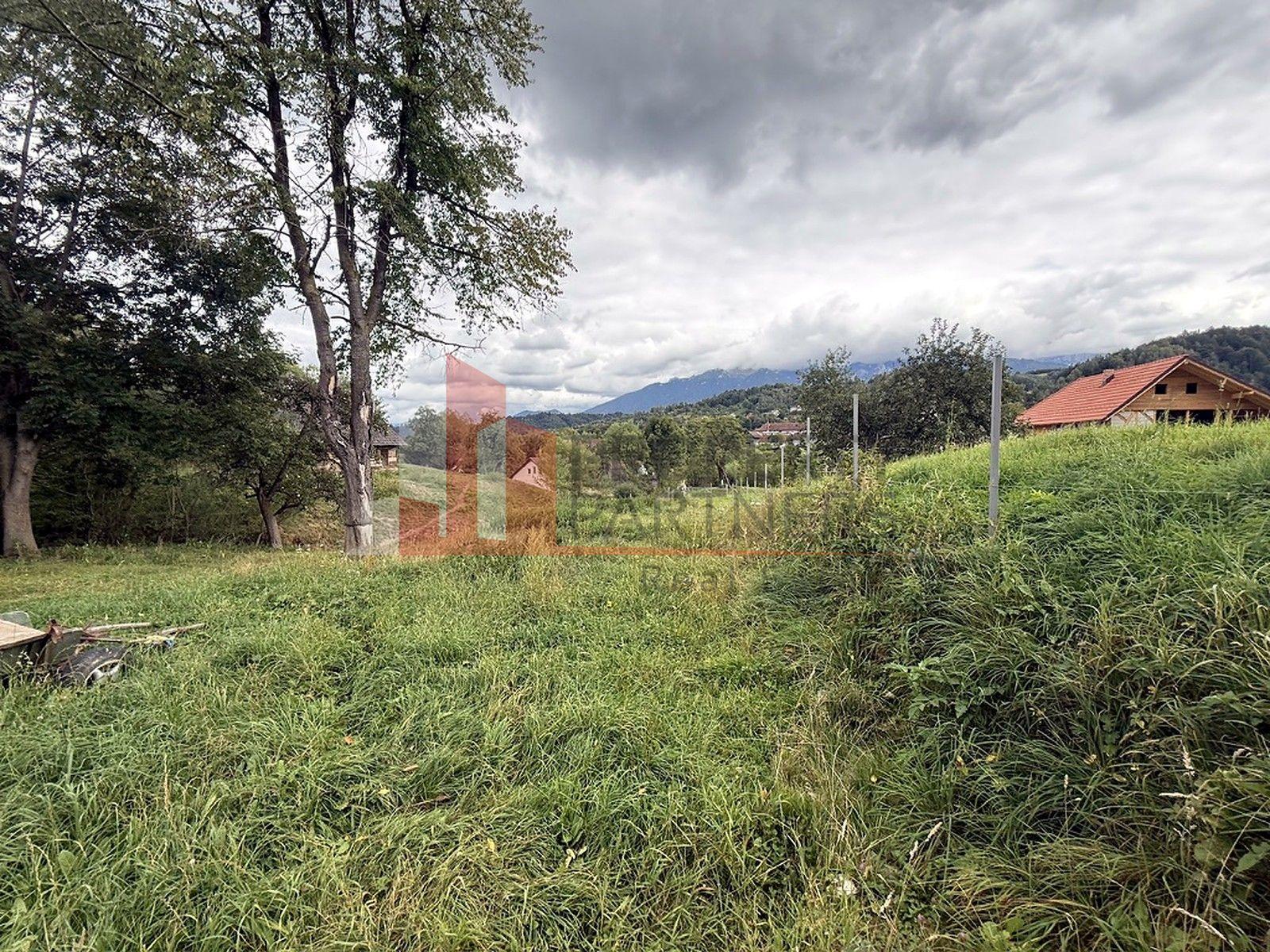 Teren de investiție în Moieciu, lângă Castelul Bran – 11.381 mp, vedere Bucegi - 8
