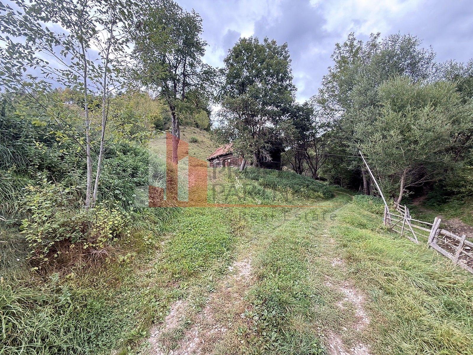 Teren de investiție în Moieciu, lângă Castelul Bran – 11.381 mp, vedere Bucegi - 7