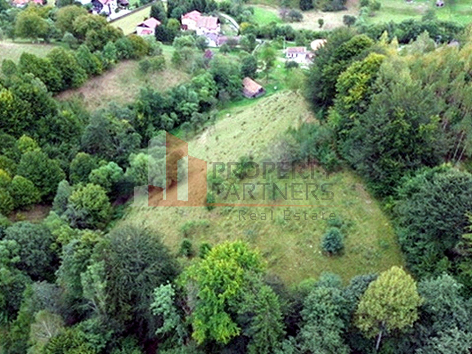 Teren de investiție în Moieciu, lângă Castelul Bran – 11.381 mp, vedere Bucegi - 16