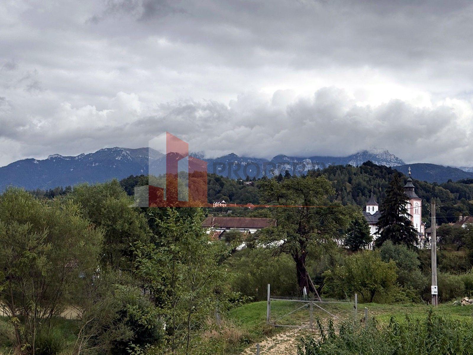 Teren de investiție în Moieciu, lângă Castelul Bran – 11.381 mp, vedere Bucegi - 10