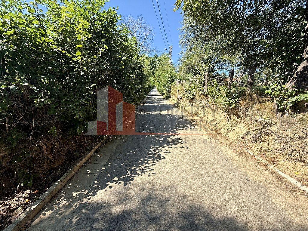 Teren 4558 mp cu casă tradițională, Sohodol, Bran - 12