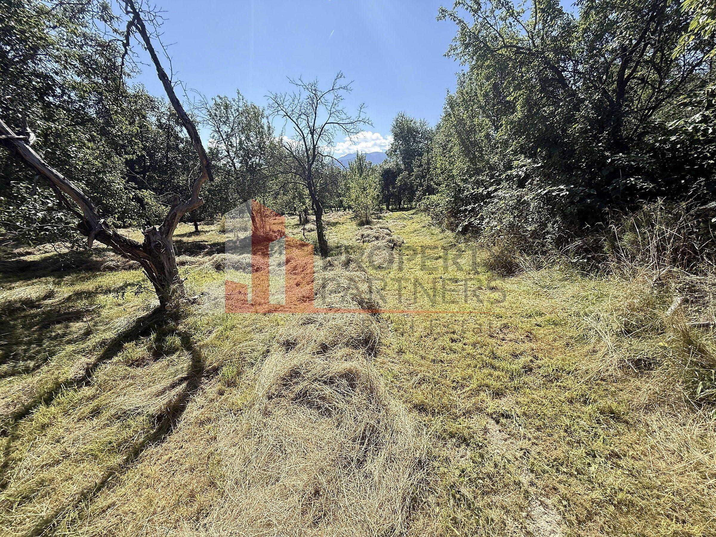Teren 4558 mp cu casă tradițională, Sohodol, Bran - 10