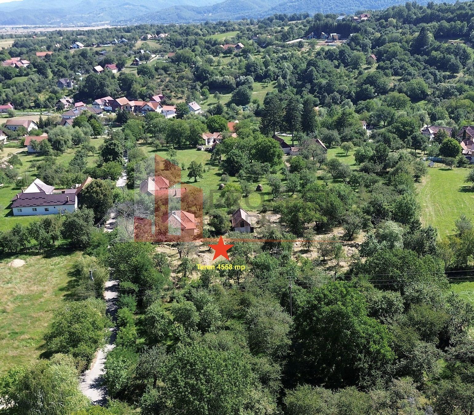 Teren 4558 mp cu casă tradițională, Sohodol, Bran - 3