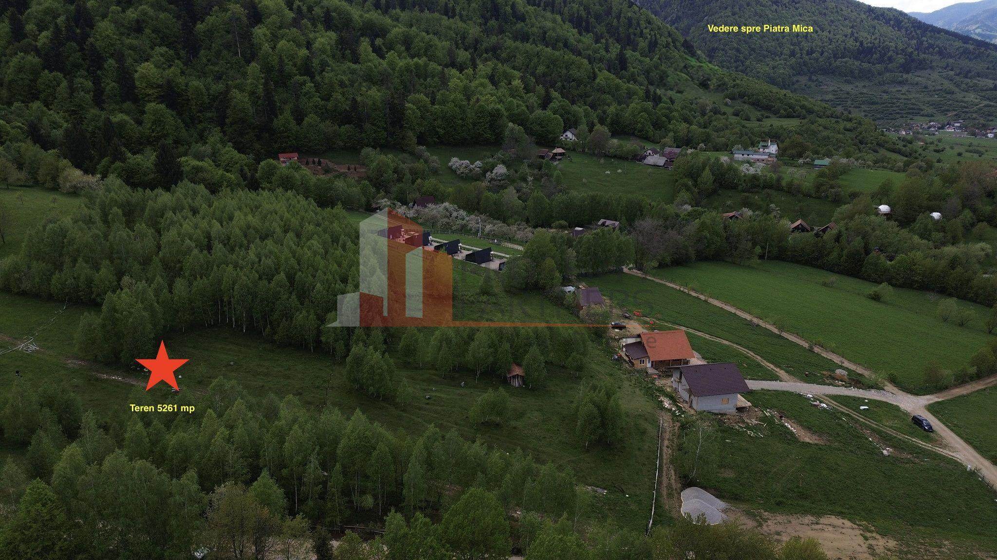 Teren intravilan 5.261 mp Tohănița | Deschidere 49 m | Utilități, lângă pădure - 6