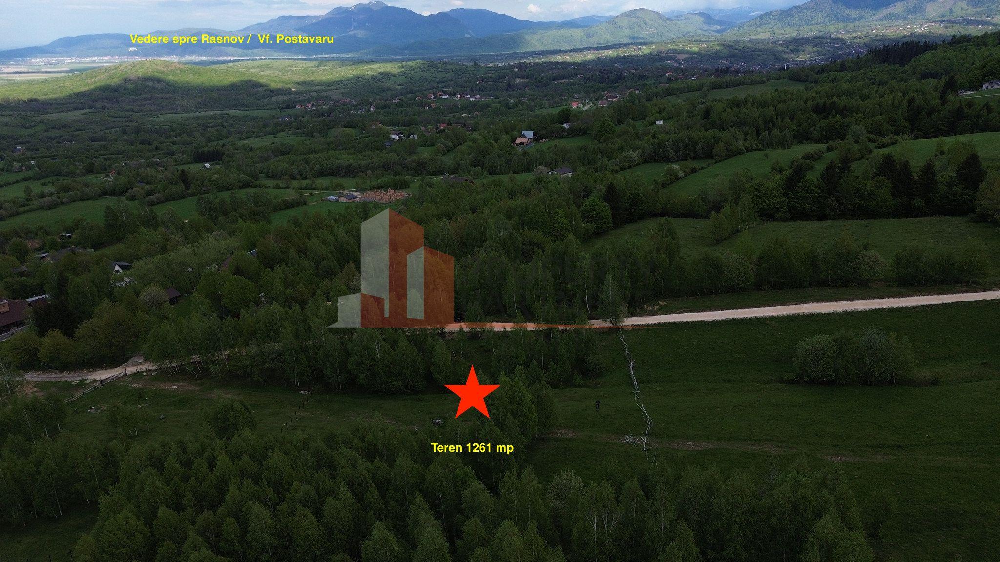 Teren intravilan 5.261 mp Tohănița | Deschidere 49 m | Utilități, lângă pădure - 4