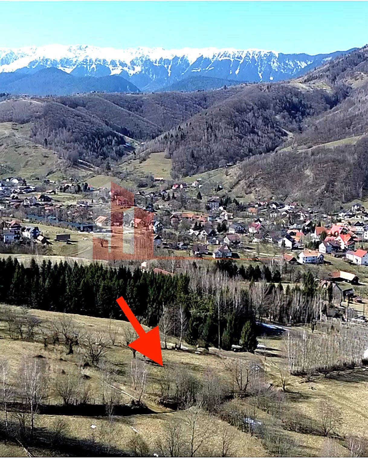 Teren Bran | 3.520 mp | Vedere Bucegi & Castelul Bran - 3