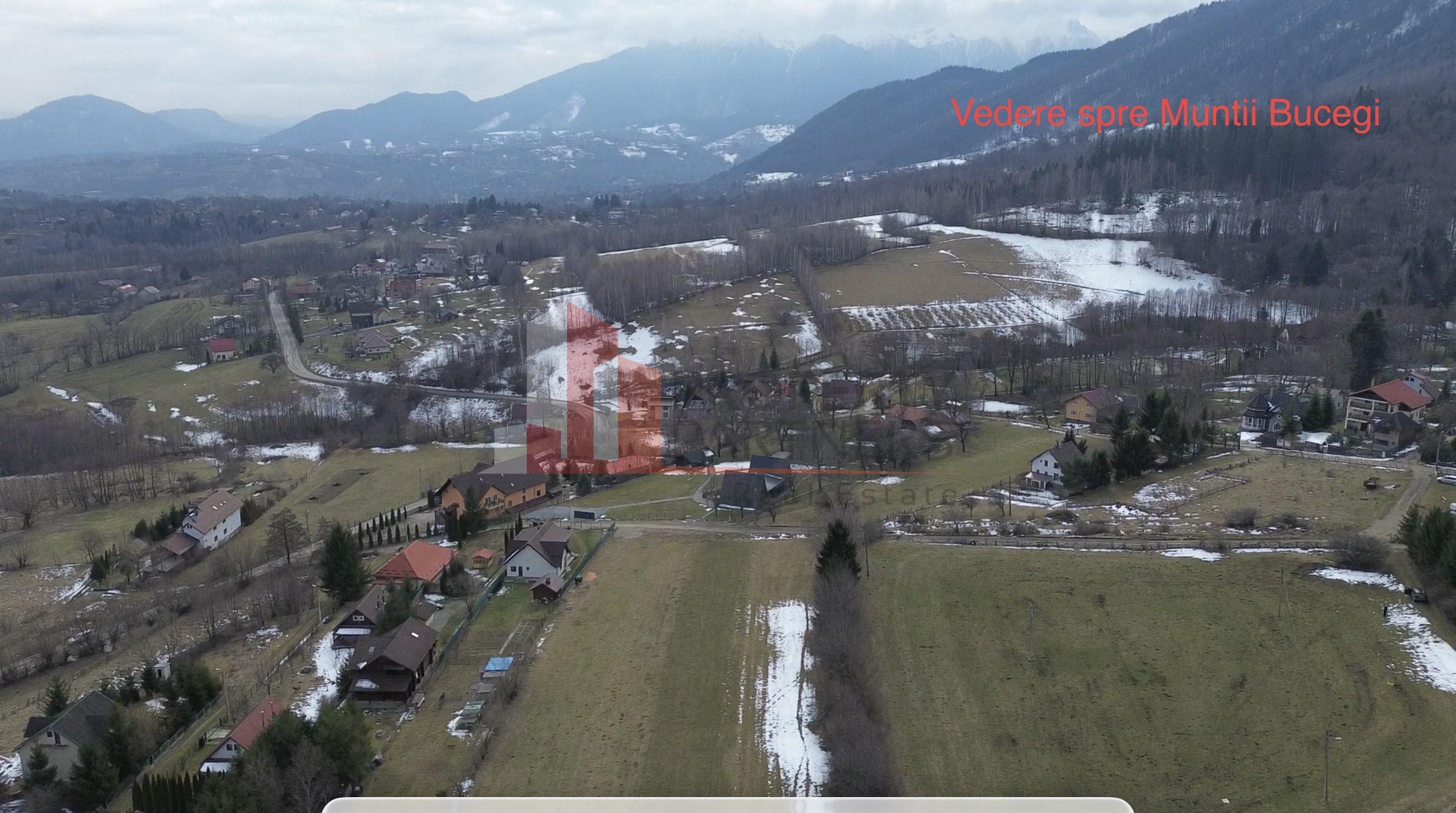 Teren Bran Tohanita | Intravilan 1.379 mp | Vedere Panoramică| - 9