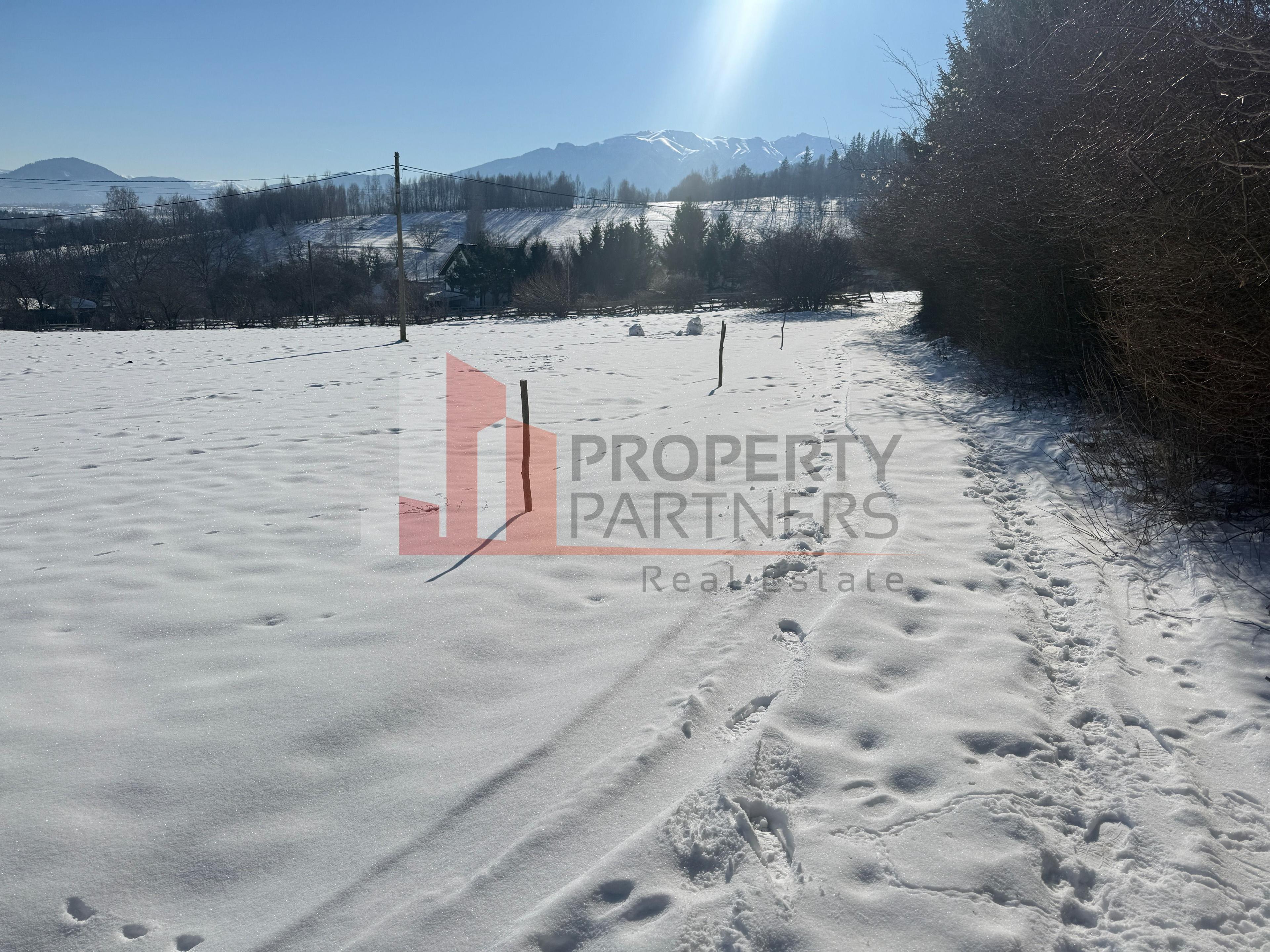 Teren Bran Tohanita | Intravilan 1.379 mp | Vedere Panoramică| - 18
