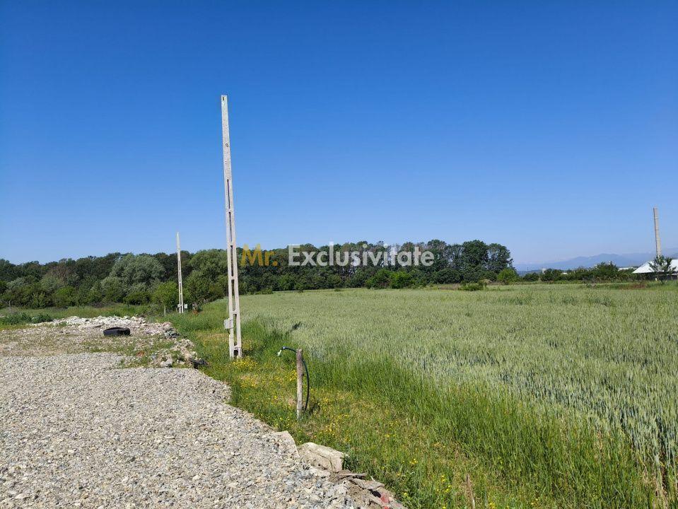Teren 10.294 mp de vânzare Târgu Jiu | Intravilan + Extravilan | Utilități - 6
