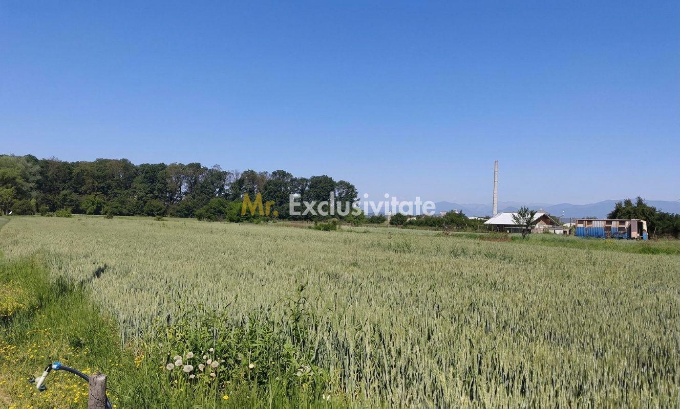 Teren 10.294 mp de vânzare Târgu Jiu | Intravilan + Extravilan | Utilități - 2