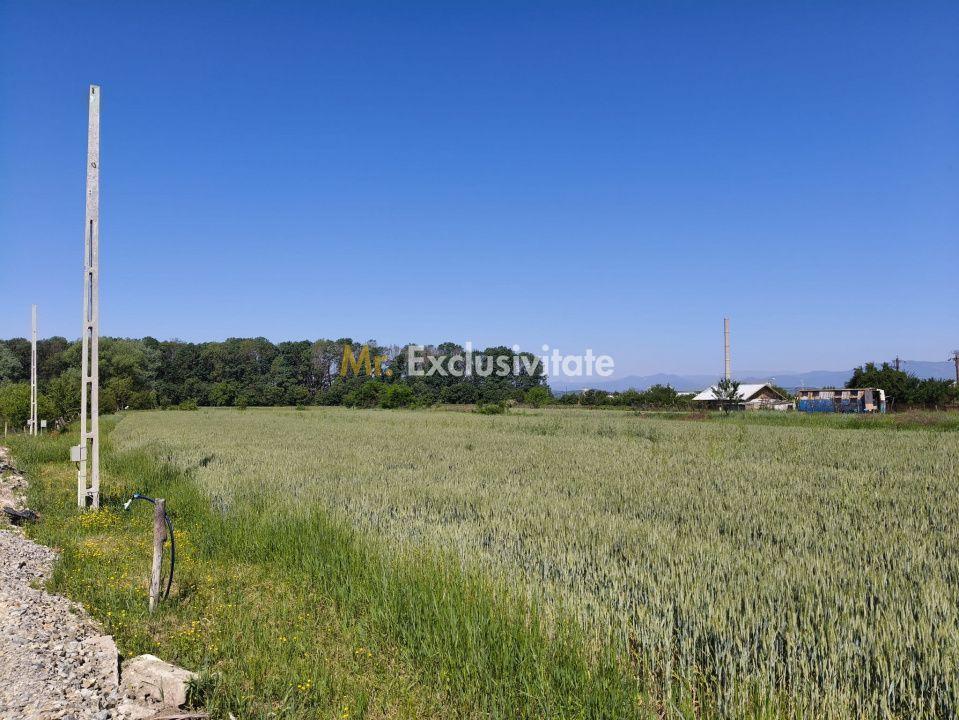 Teren 10.294 mp de vânzare Târgu Jiu | Intravilan + Extravilan | Utilități - 3