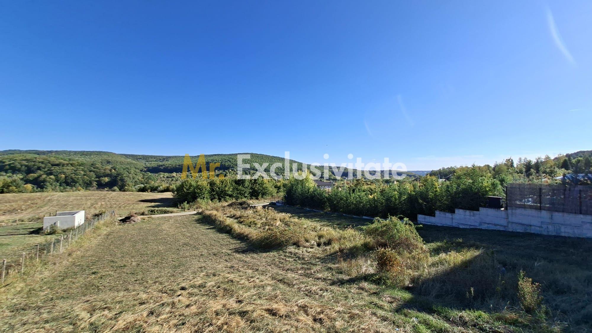 Teren 2090 mp Stefanesti-Rebreanu zona superba - 3