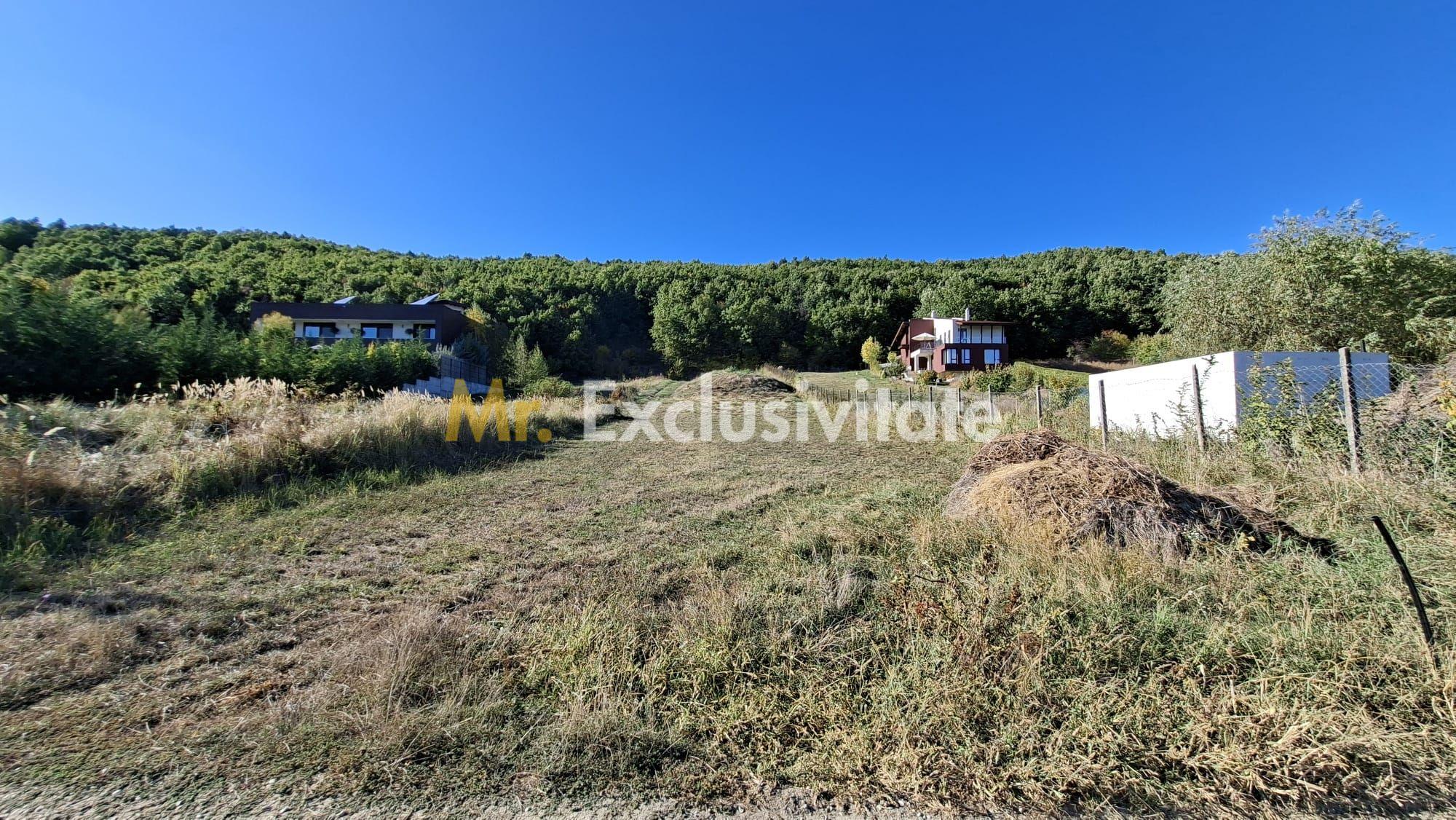 Teren 2090 mp Stefanesti-Rebreanu zona superba - 4