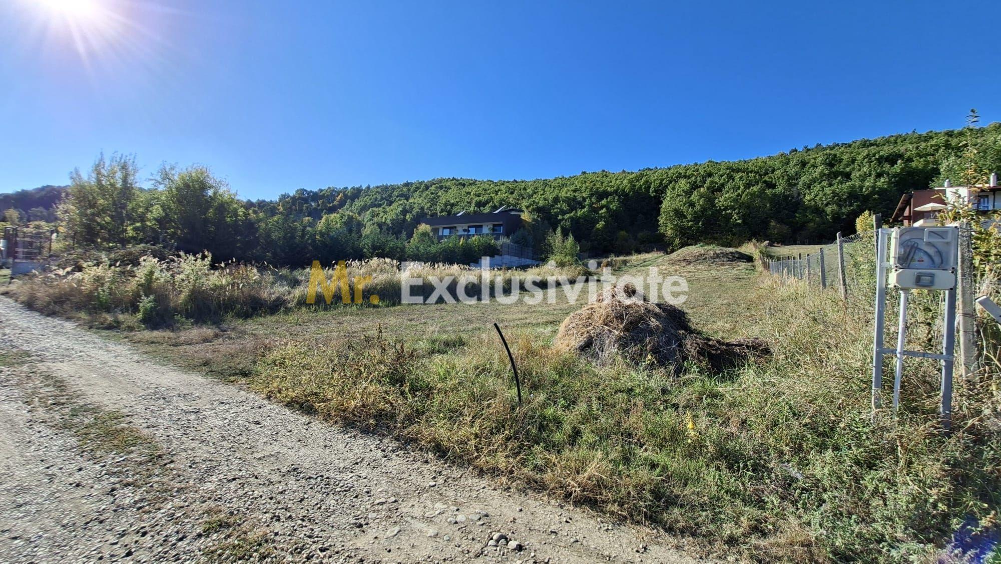 Teren 2090 mp Stefanesti-Rebreanu zona superba - 7