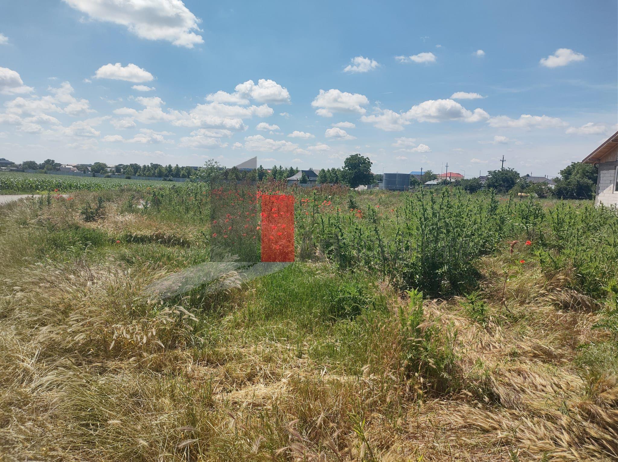 Vânzare 2 loturi de casă Dobreni Giurgiu - 6