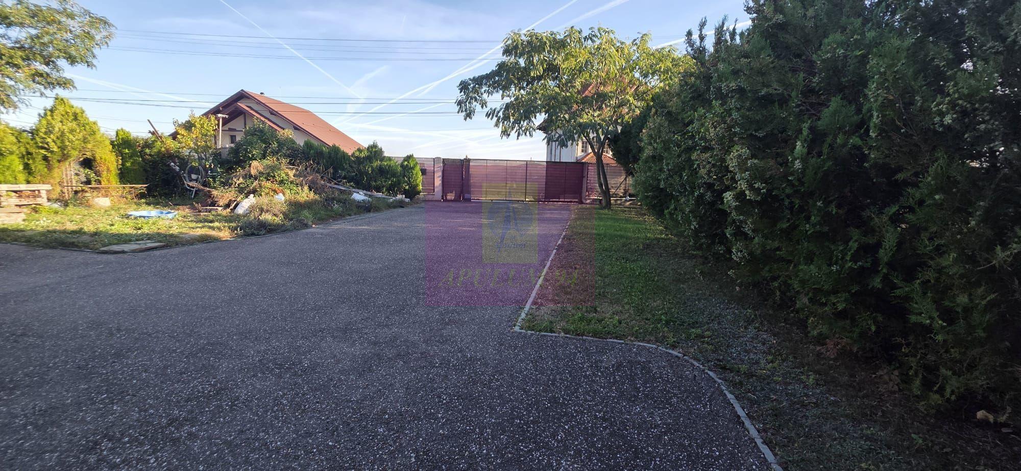 Vila cu 5 camere de închiriat în Câmpina - 3