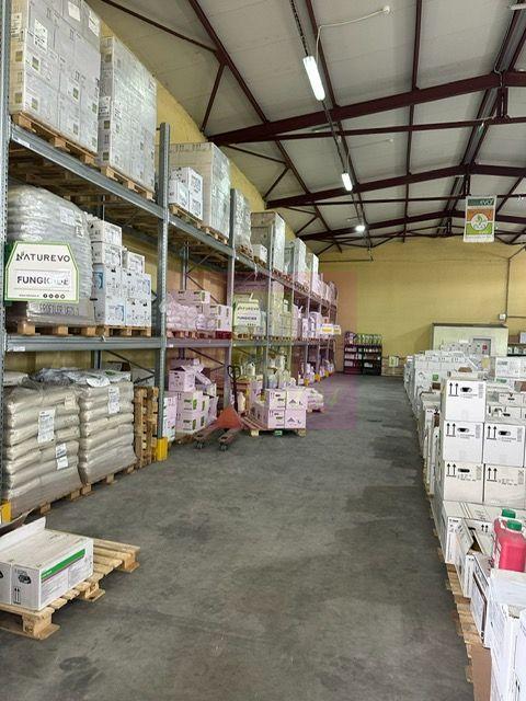 Hale industriale cu parcari multiple Bragadiru Sos Alexandriei stradal - 3