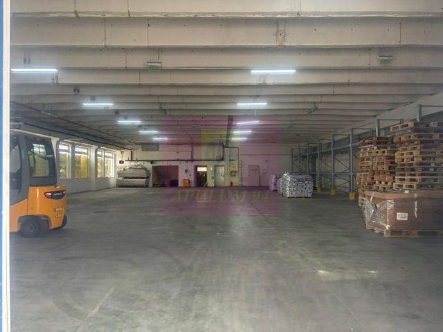 Hale industriale cu parcari multiple Bragadiru Sos Alexandriei stradal - 25