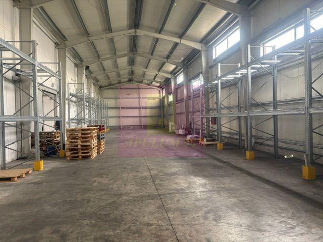 Hale industriale cu parcari multiple Bragadiru Sos Alexandriei stradal - 21