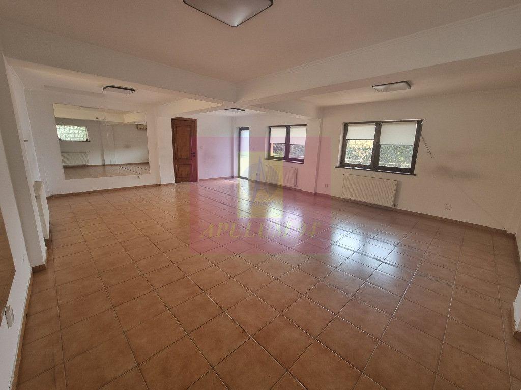 Vilă de închiriat în Aviației–Pipera | 4 niveluri | Se închiriază sepa - 1