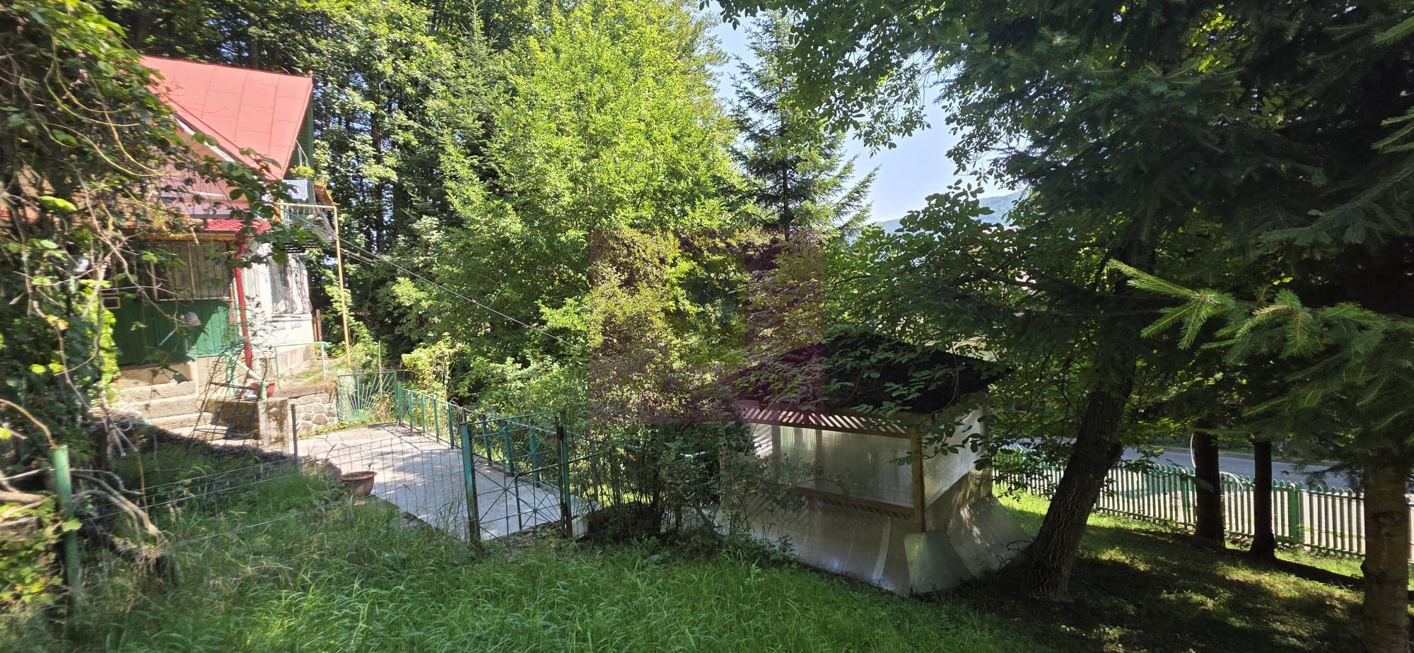 Teren intravilan 979 mp Sinaia, Furnica - 2