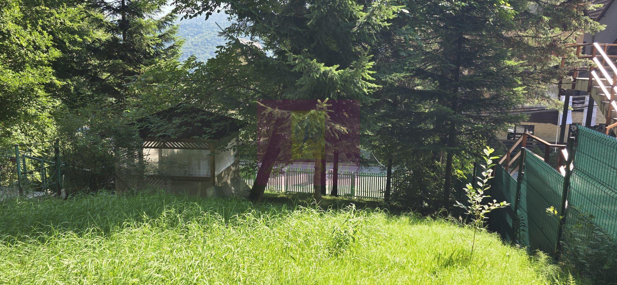 Teren intravilan 979 mp Sinaia, Furnica - 1