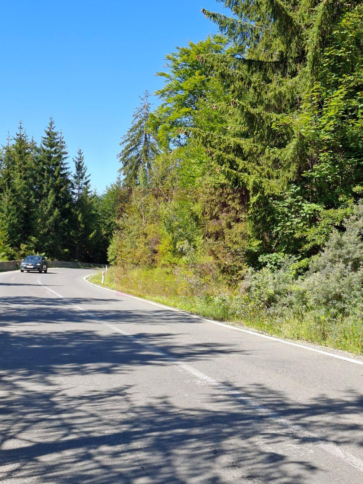 Teren de vânzare în zona Cota 1000 – Sinaia - 5