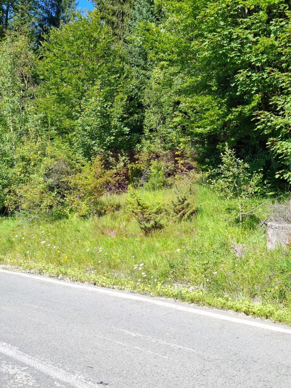 Teren de vânzare în zona Cota 1000 – Sinaia - 9