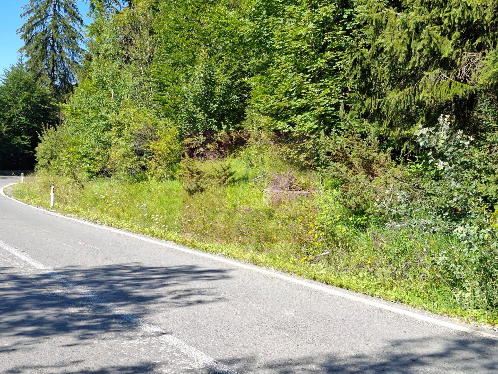 Teren de vânzare în zona Cota 1000 – Sinaia - 1