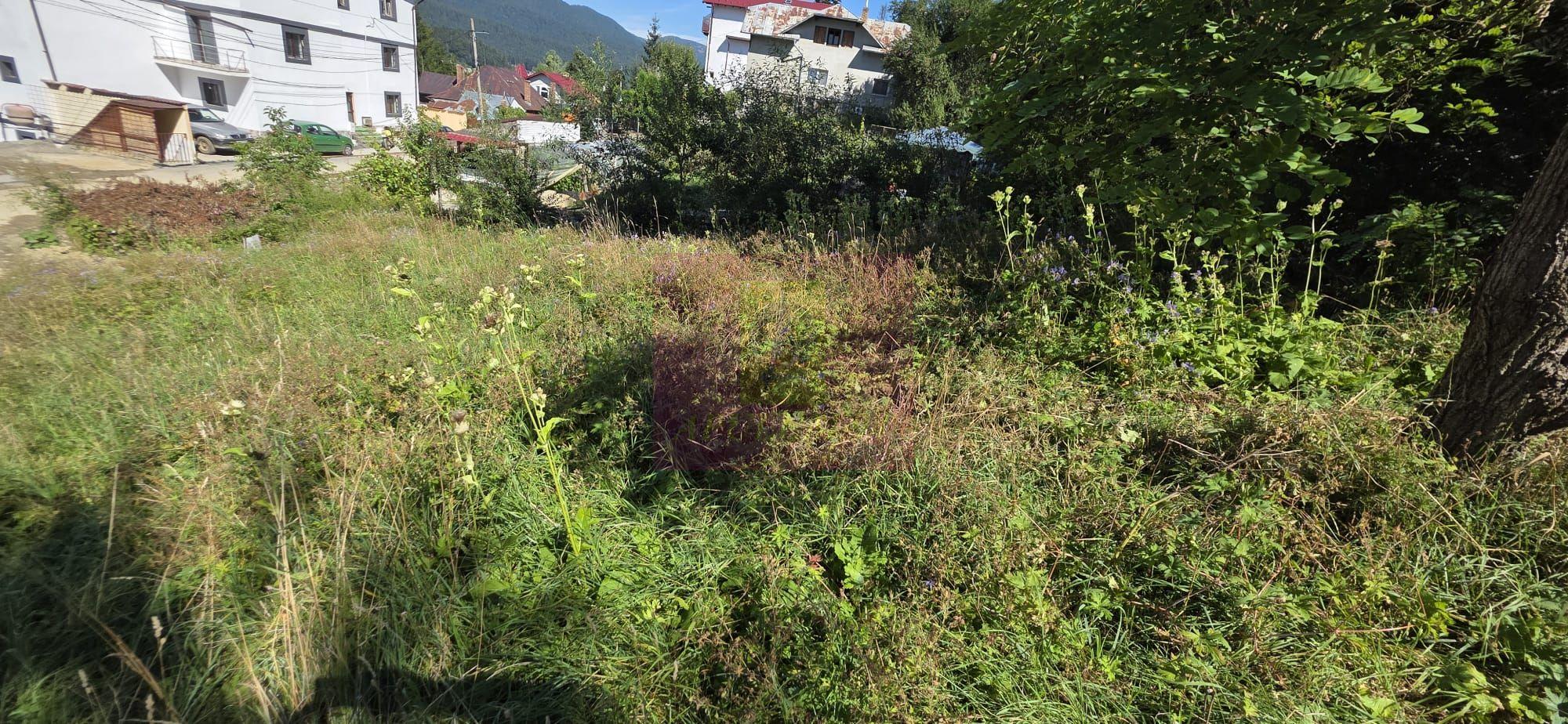 Teren intravilan 288 mp de vanzare in Busteni - 3