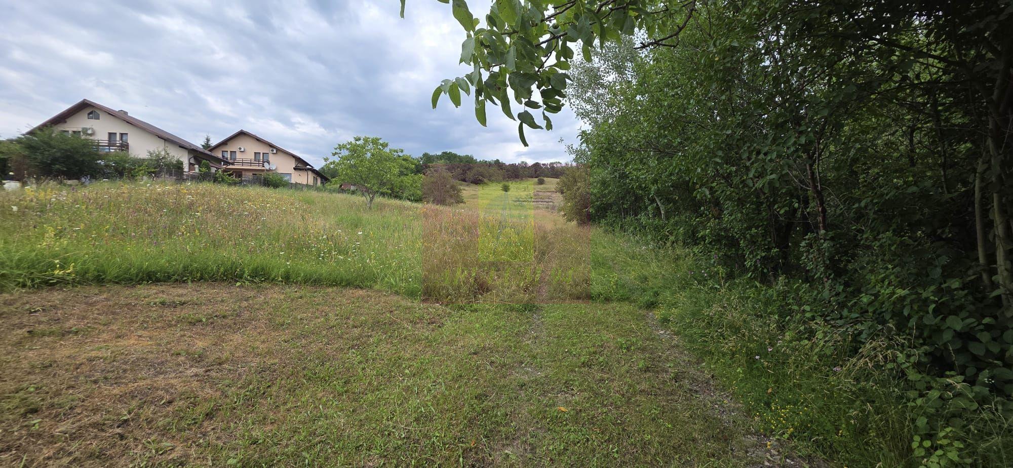 Teren de vanzare in Campina, Muscel - 1