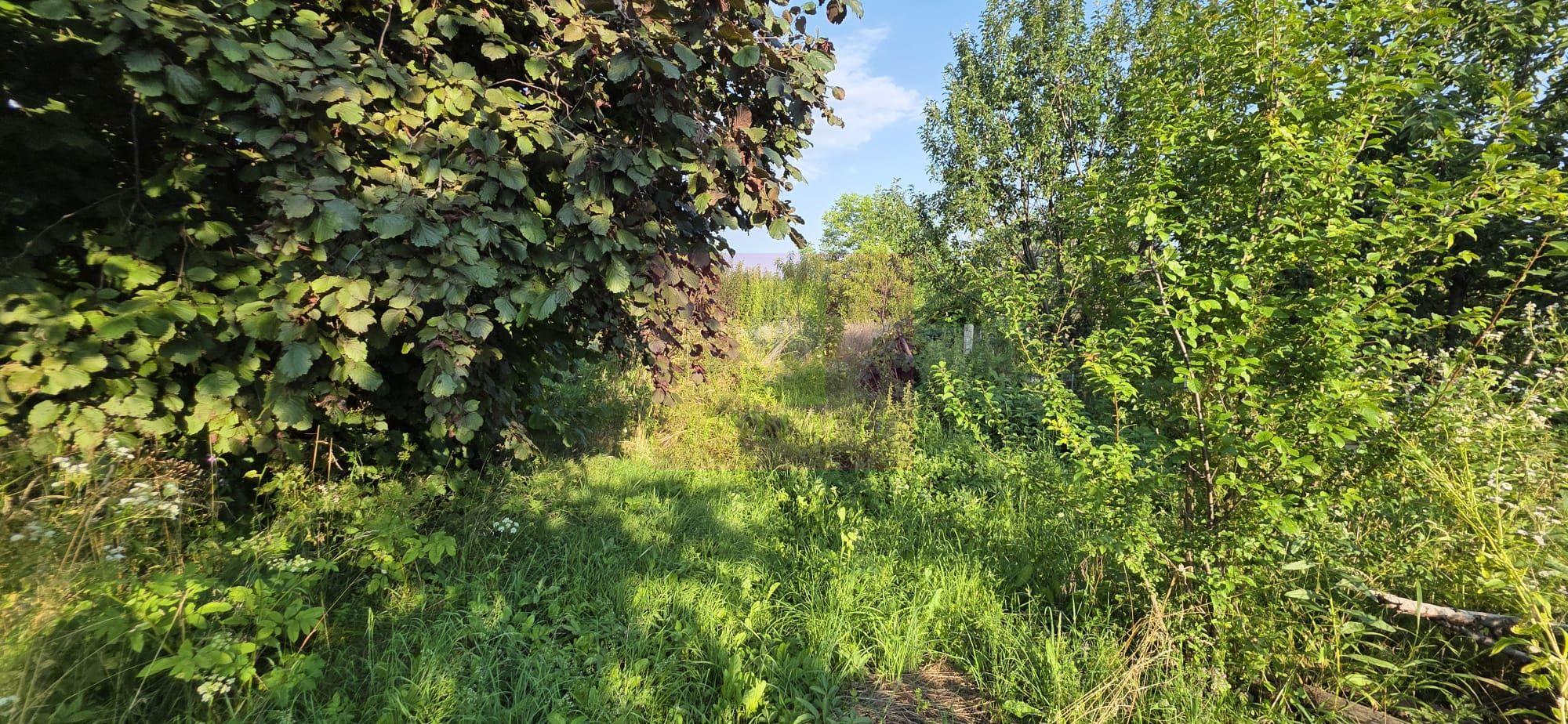 Teren intravilan 1430 mp de vanzare in Brebu - 2