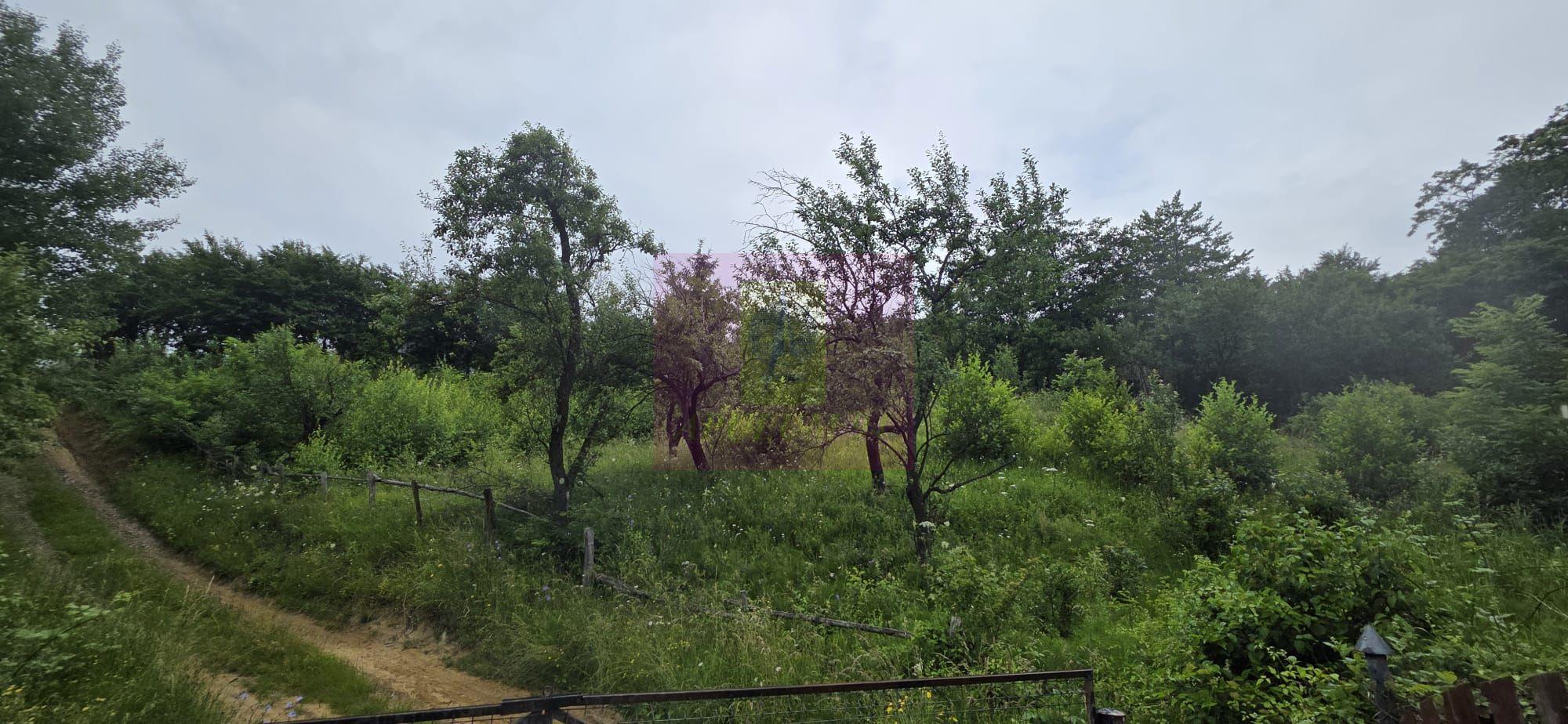 Teren intravilan 4000 mp in Breaza, Nistoresti - 1