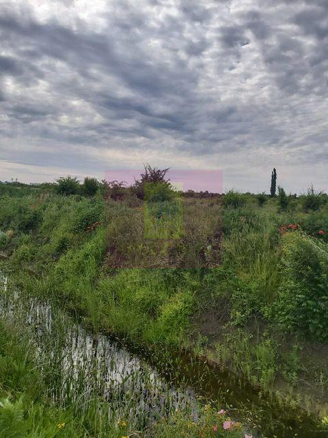 Teren Corbeanca- Drumul Garii Odai. - 2