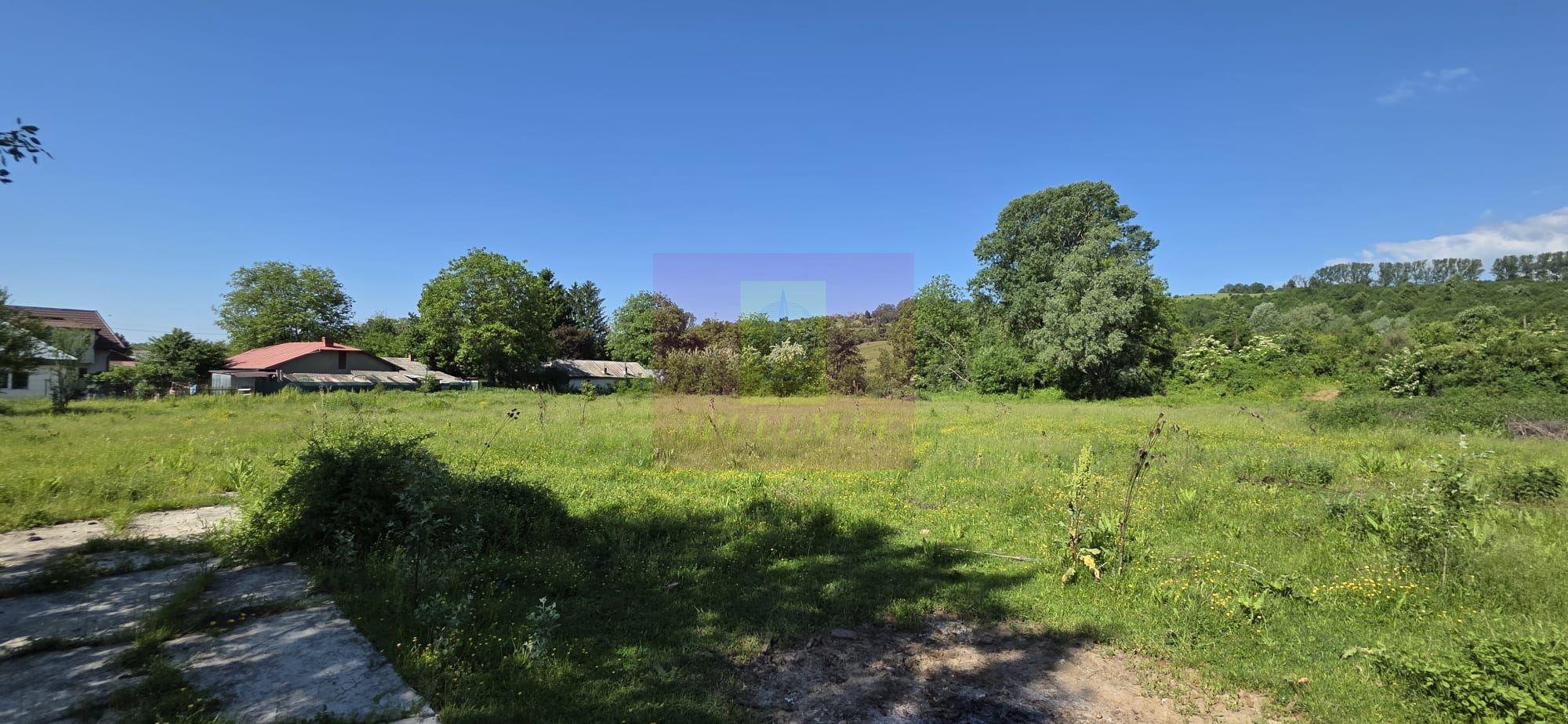 Teren intravila 40.679 mp in Campina, dezvoltare imobiliara - 2