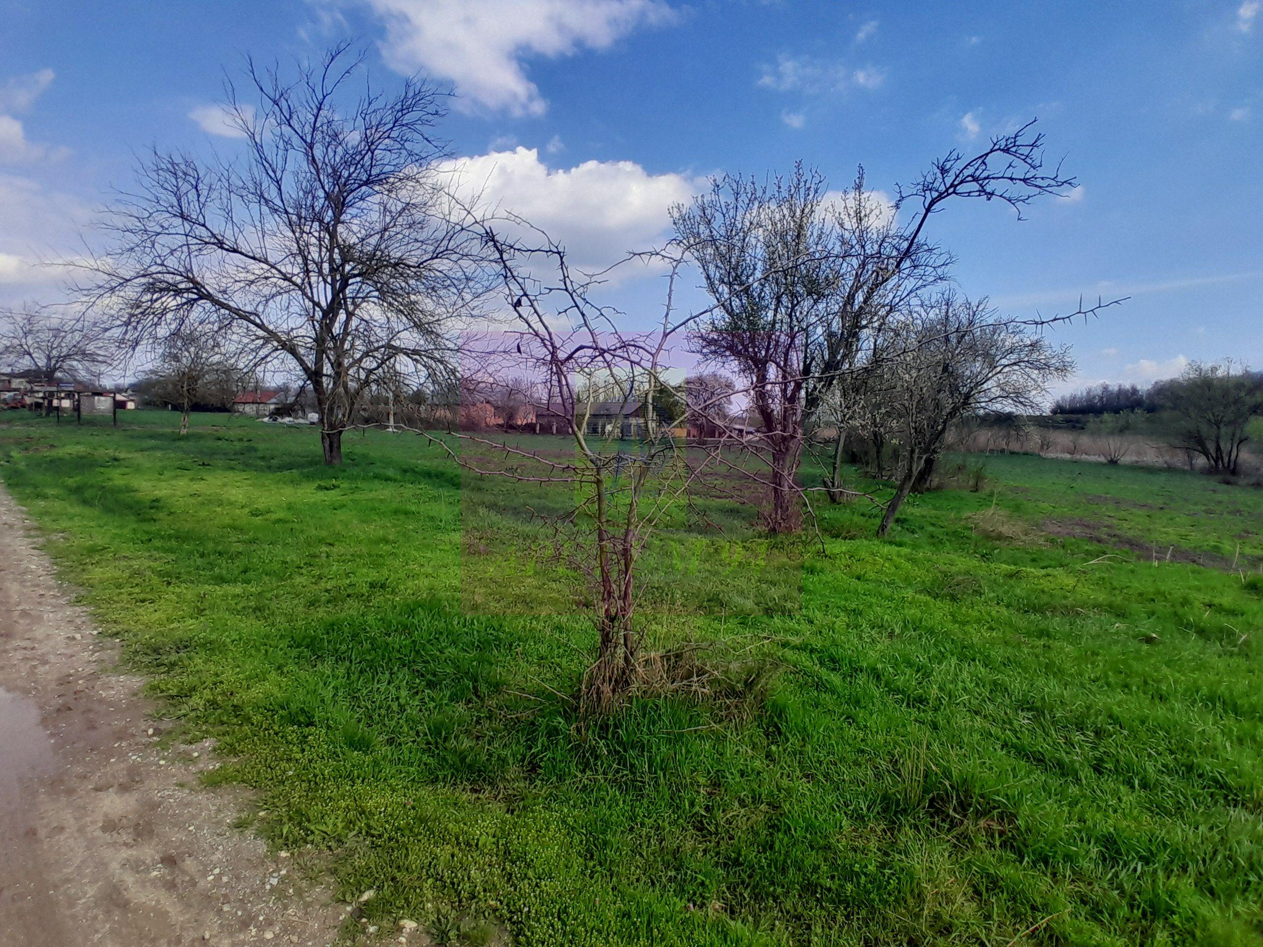 GIURGIU - SE VINDE TEREN 3400 MP IN SAT PODU ILFOVATULUI - 25