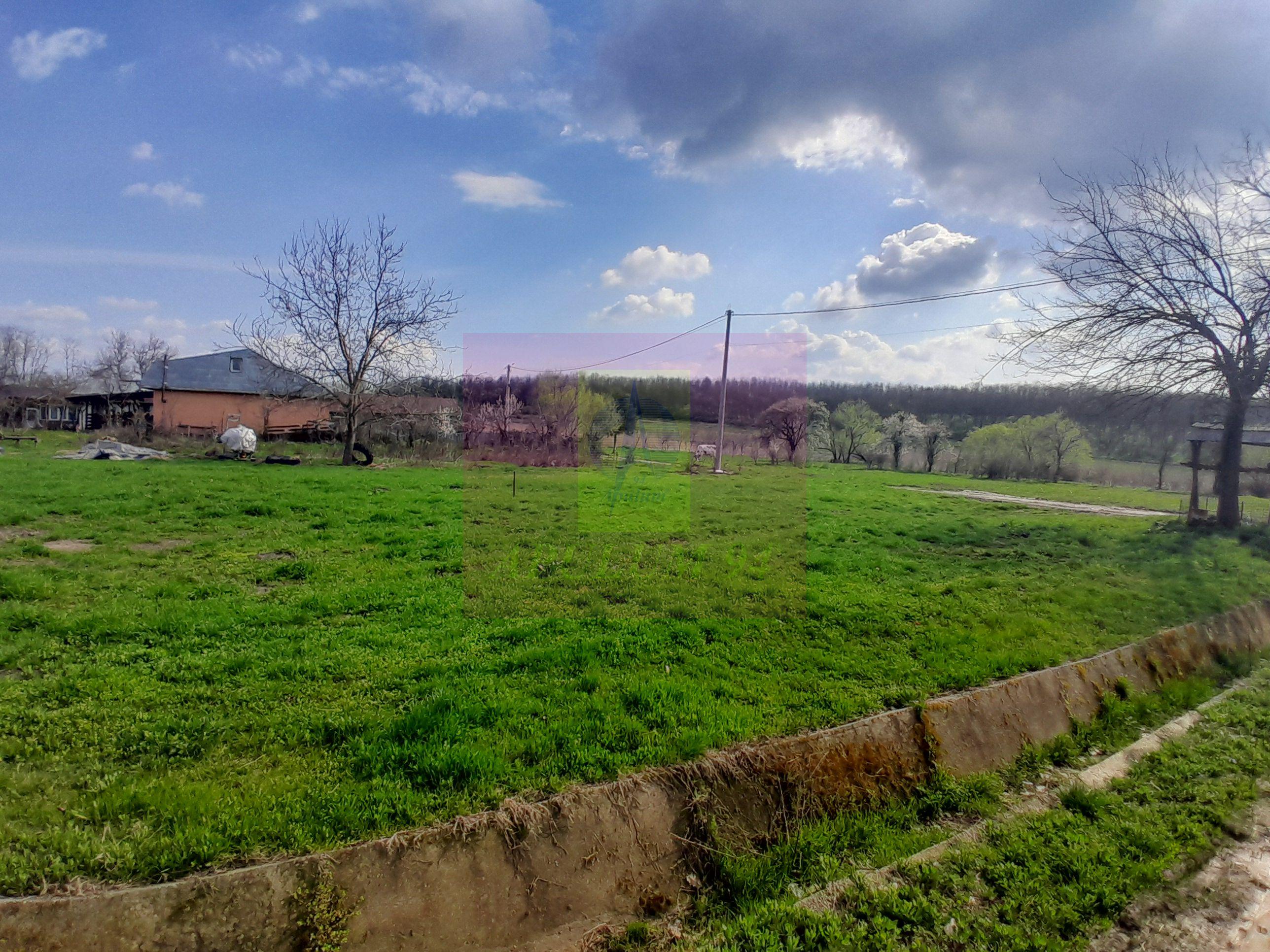 GIURGIU - SE VINDE TEREN 3400 MP IN SAT PODU ILFOVATULUI - 4
