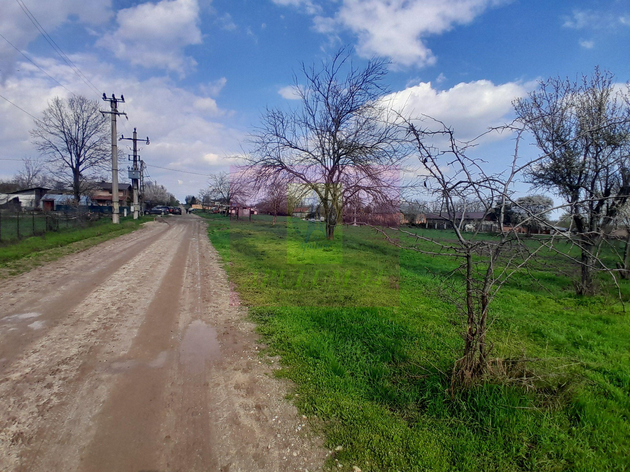 GIURGIU - SE VINDE TEREN 3400 MP IN SAT PODU ILFOVATULUI - 8