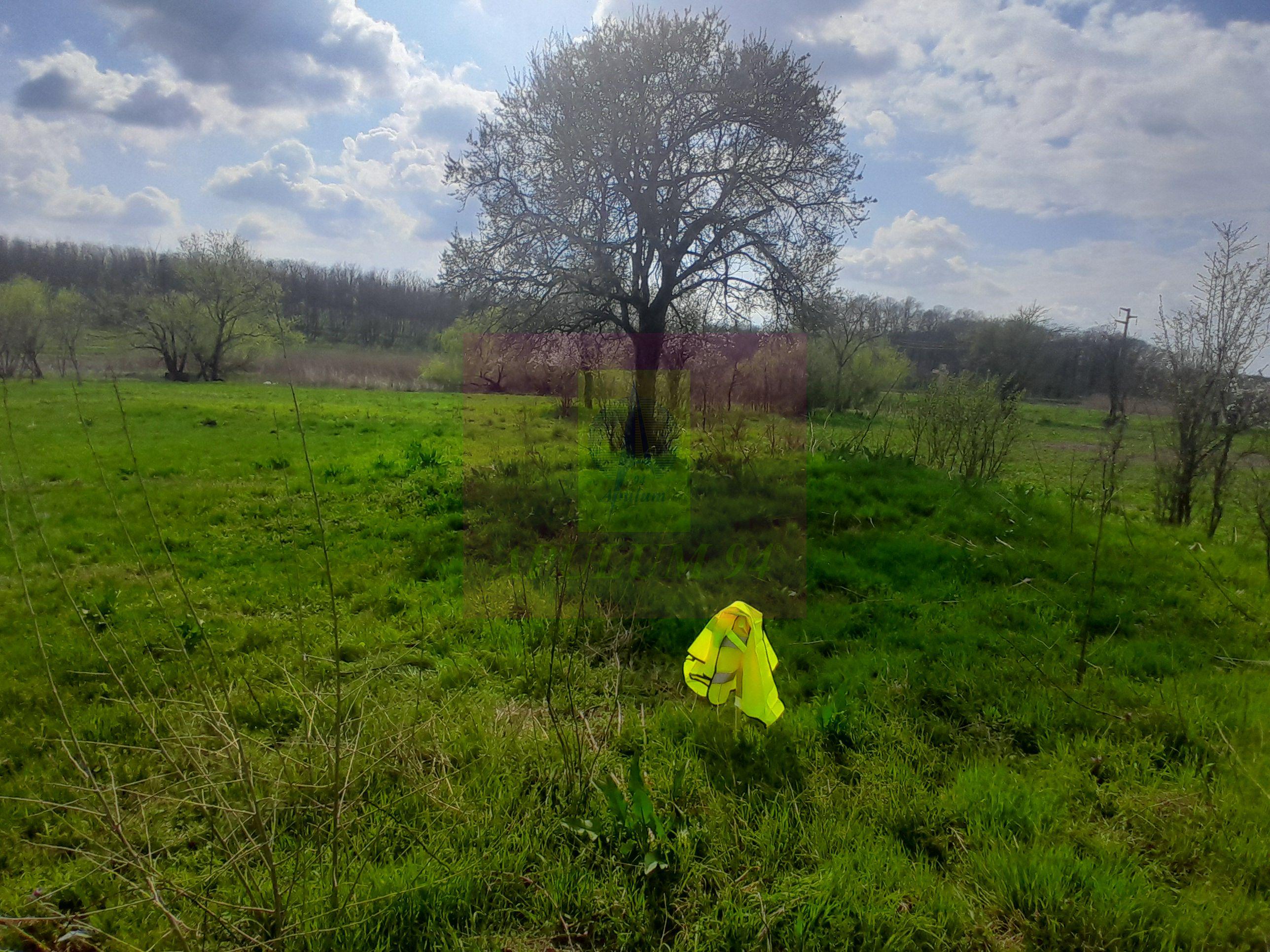 GIURGIU - SE VINDE TEREN 3400 MP IN SAT PODU ILFOVATULUI - 17