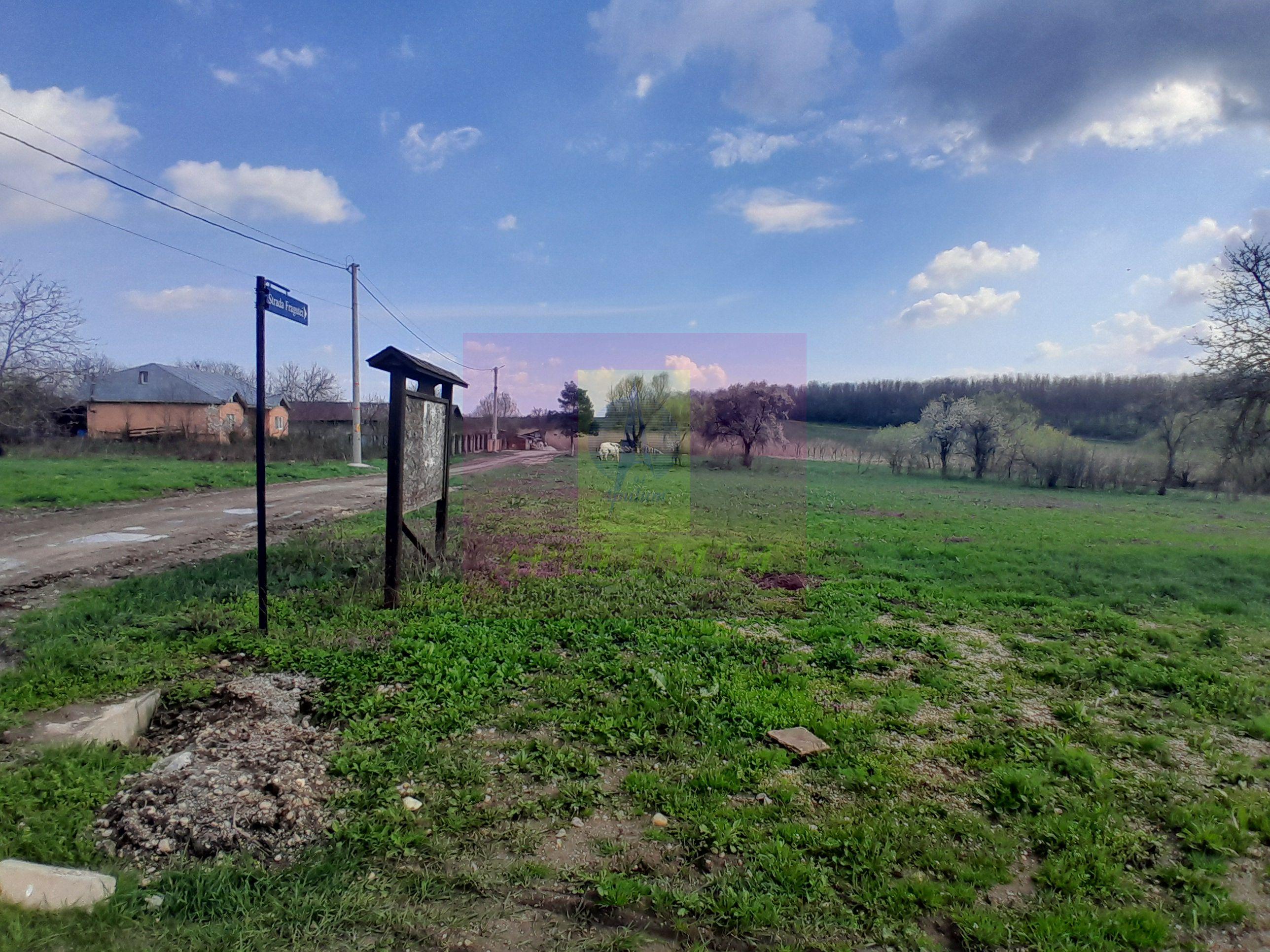 GIURGIU - SE VINDE TEREN 3400 MP IN SAT PODU ILFOVATULUI - 9