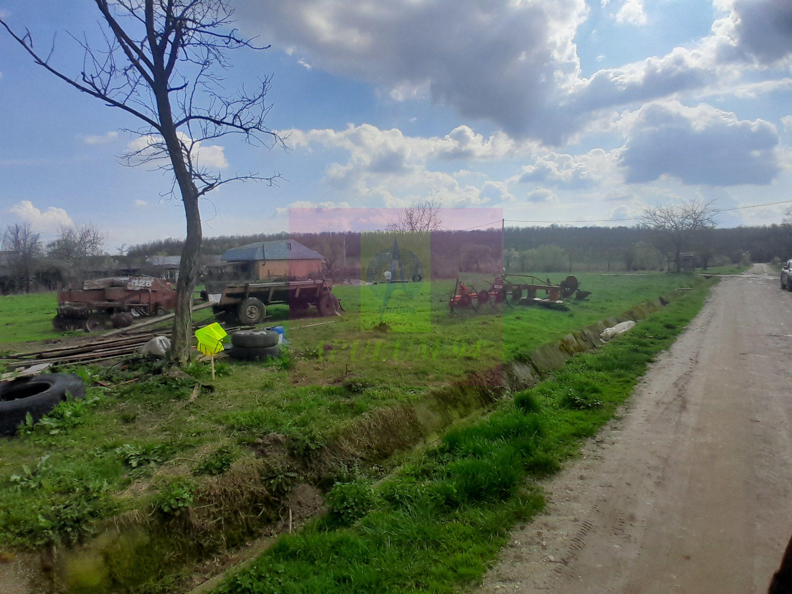 GIURGIU - SE VINDE TEREN 3400 MP IN SAT PODU ILFOVATULUI - 21