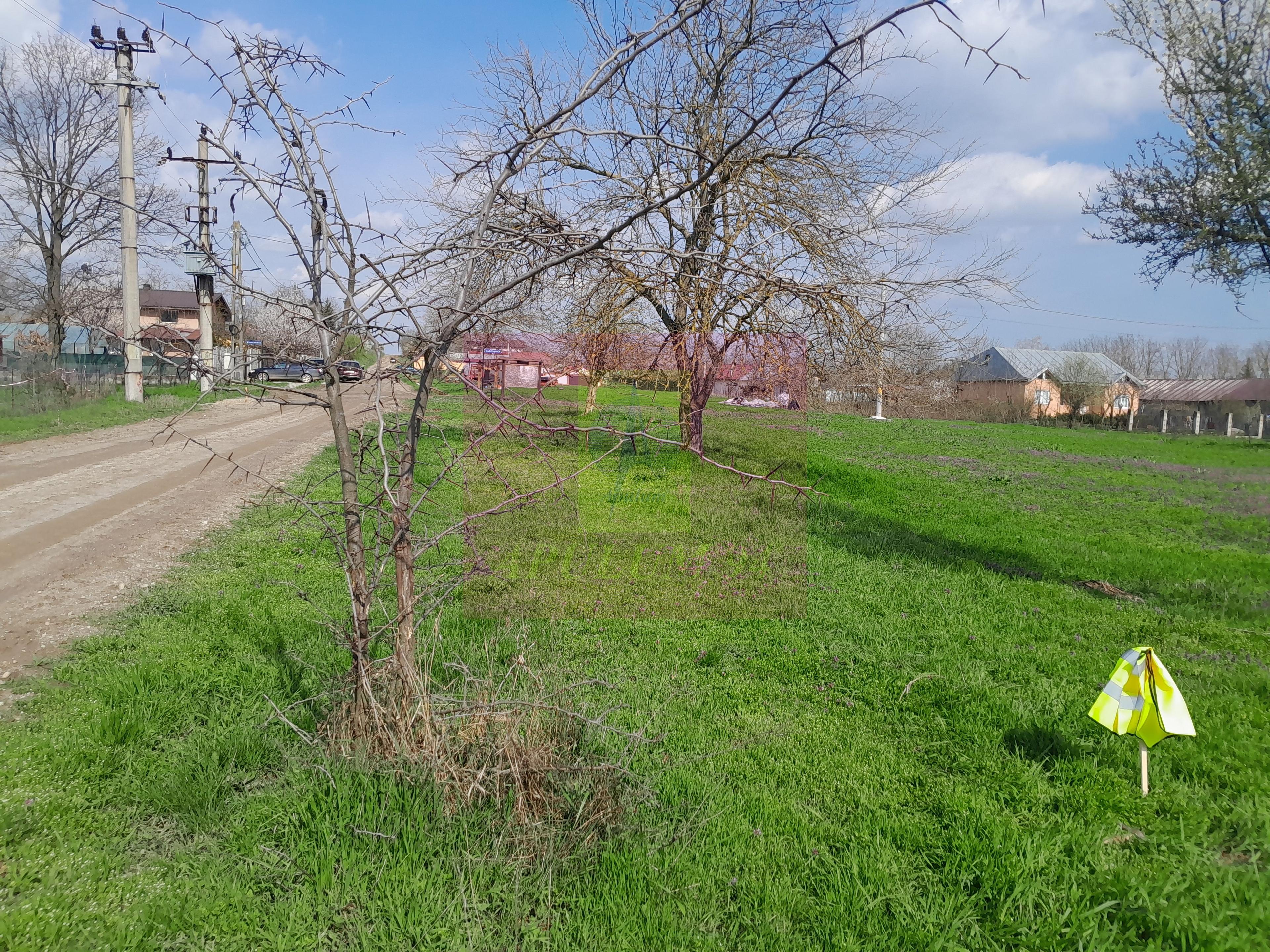 GIURGIU - SE VINDE TEREN 3400 MP IN SAT PODU ILFOVATULUI - 34