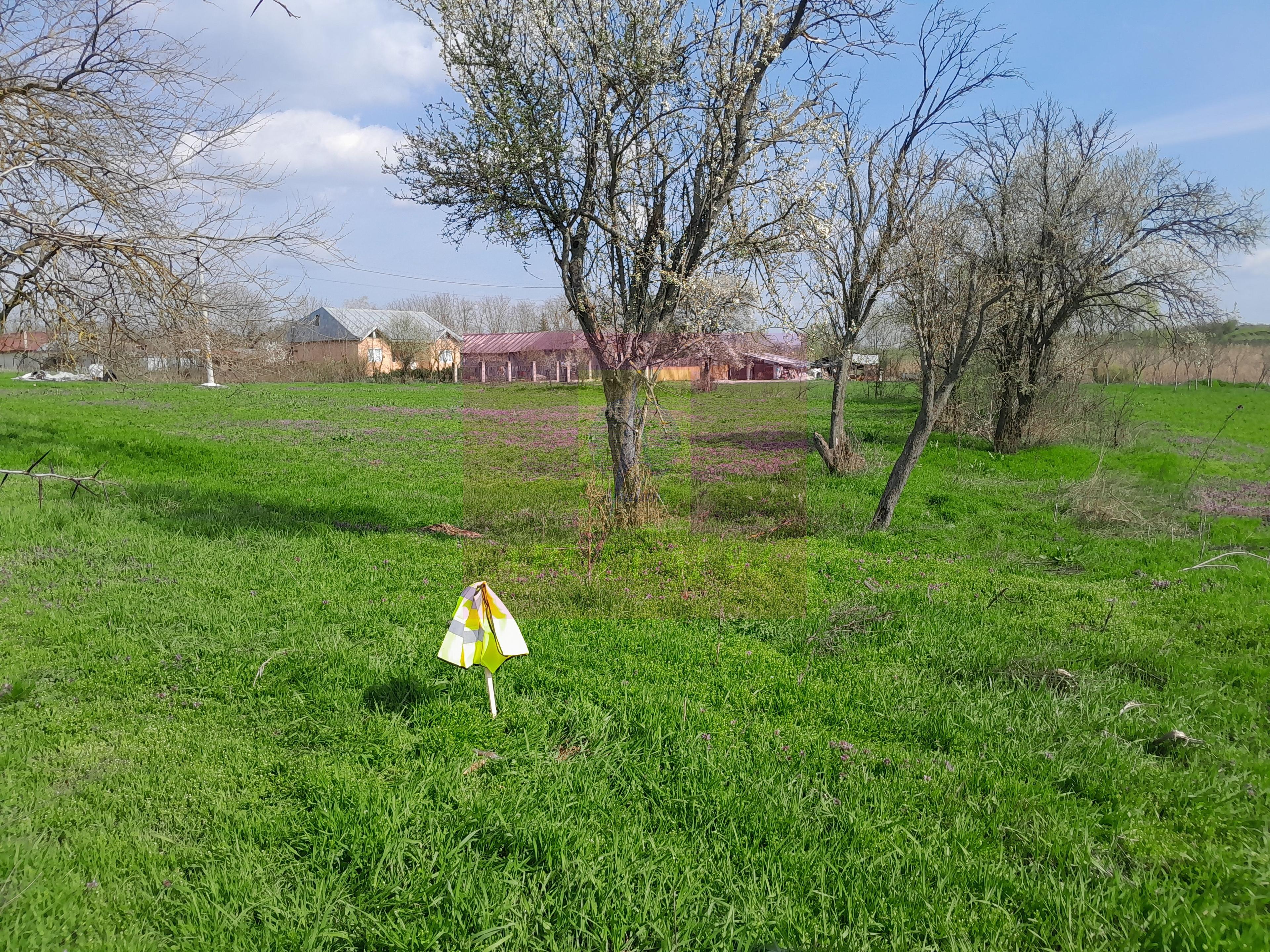 GIURGIU - SE VINDE TEREN 3400 MP IN SAT PODU ILFOVATULUI - 35
