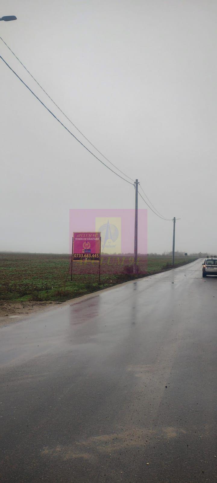 Dragomiresti-Vale, lângă Șoseaua de Centură, pretabil hale, productie - 3