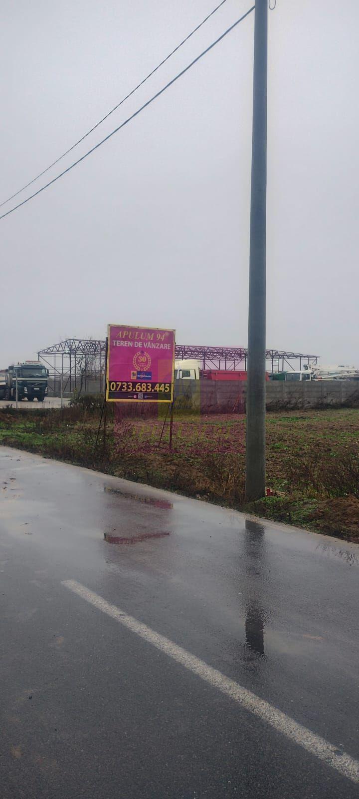 Dragomiresti-Vale, lângă Șoseaua de Centură, pretabil hale, productie - 2