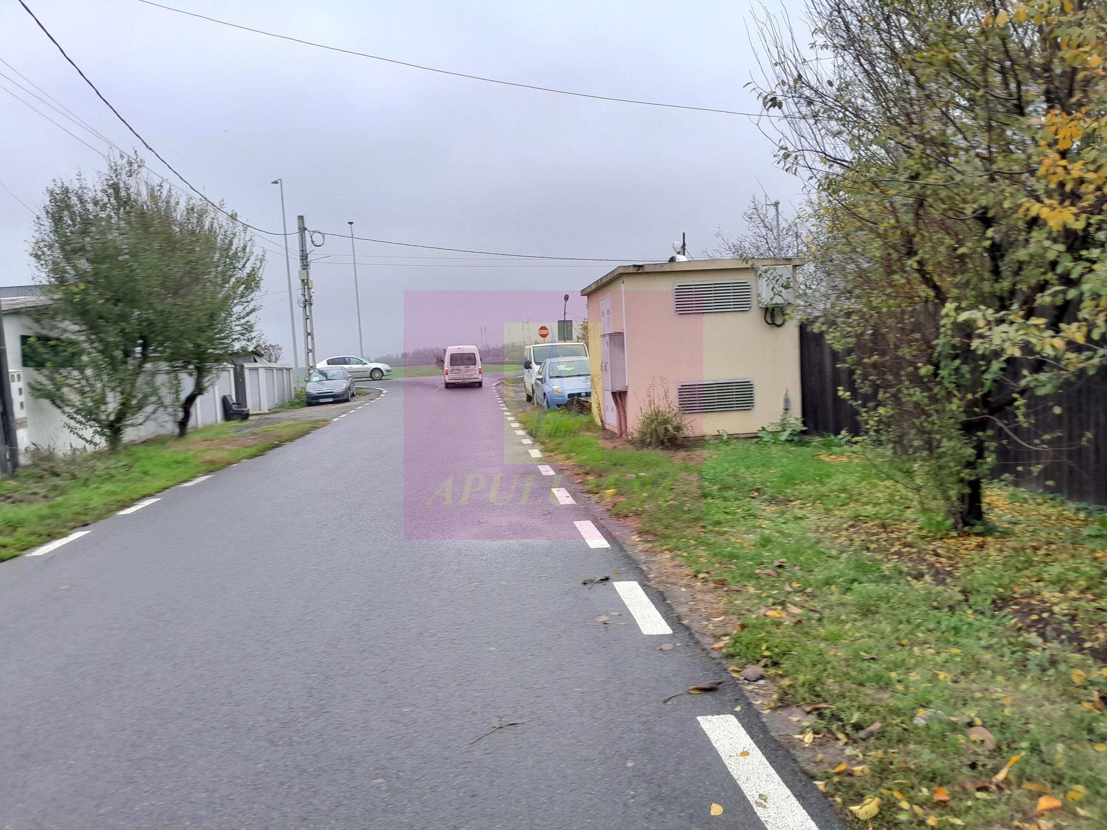 ILFOV - SE VINDE CASA IN ISLAZ / COM. BRANESTI - 43